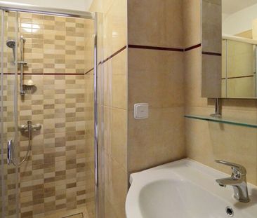 Pronájem bytu atypický v osobním vlastnictví 166 m², České Budějovice - Photo 4