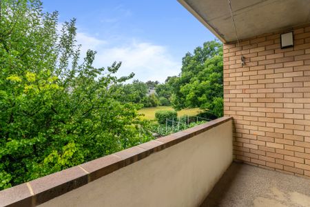 Close to EVERYTHING - Photo 4