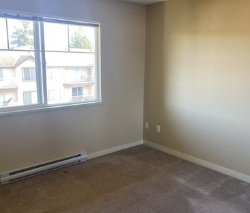 33353 Marshall Road apartment — Abbotsford, BC (1-Bedroom) - 1 Bedroom - Photo 4