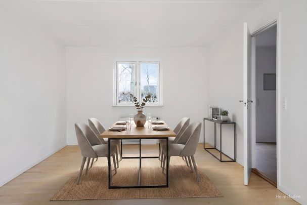 Lejevilkår: - Foto 1