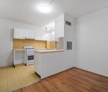 Spacious Ground Floor Studio with Courtyard in Prime Chippendale Lo... - Photo 2