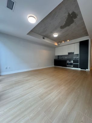For Lease - 38 STEWART Street Unit# 204, Toronto, Ontario - Photo 1