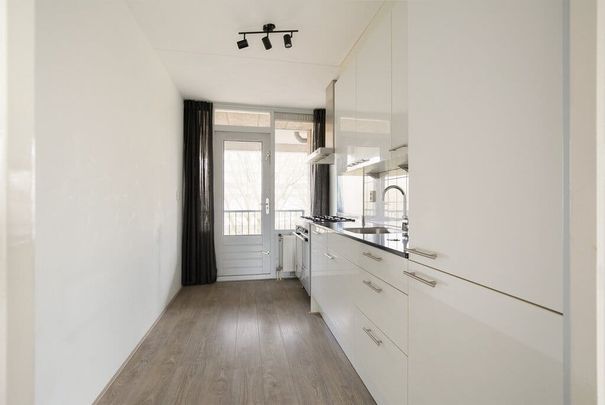 Rupelmonde 80, Buitenveldert-Zuidwest, 1081GS, Amsterdam - Photo 1