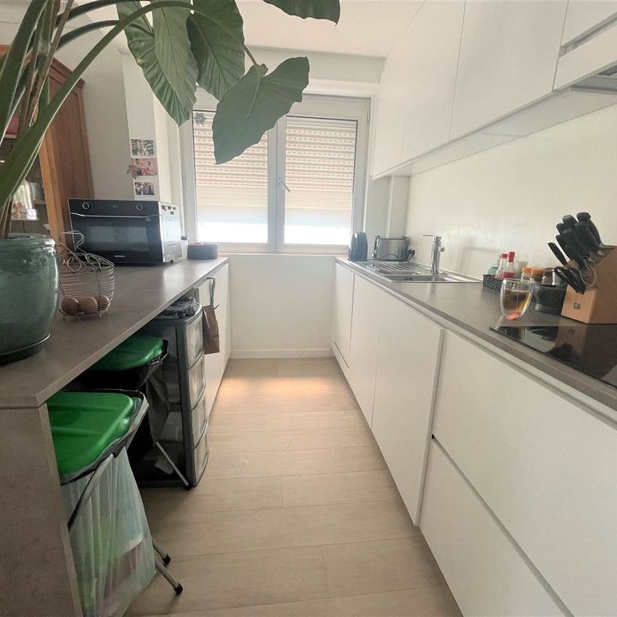 Grijpegemplein 2, 2650, Edegem - Photo 1