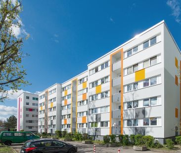 Wohnen in der Nähe zum Storchenhof - in ca. 30 min mit der Tram am ... - Foto 1