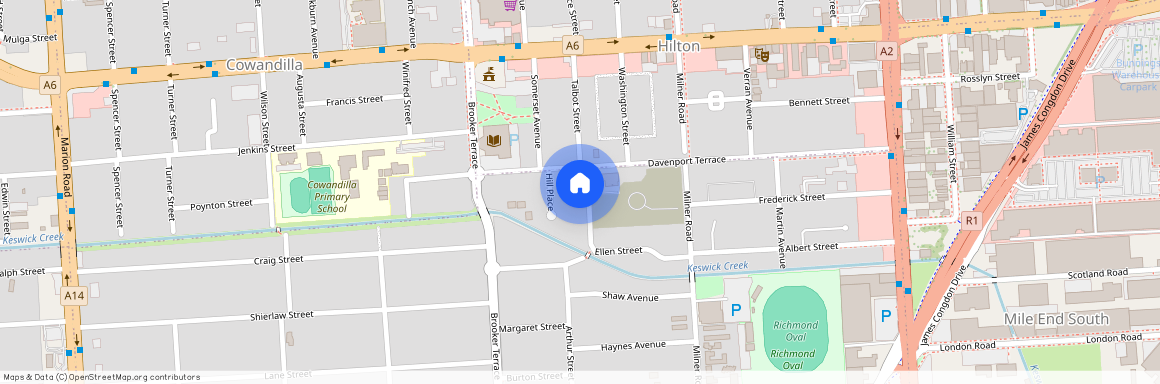 21 Ellen St, SA 5033, Richmond