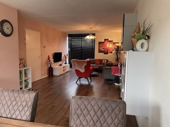 Zandbaars, 31, 5658BS, Eindhoven - Foto 1