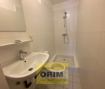 Location Appartement 2 pièces 45m² HUNINGUE 68330 - Photo 3