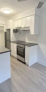 Bright and Spacious 1BED/1BATH in the West End - Photo 3