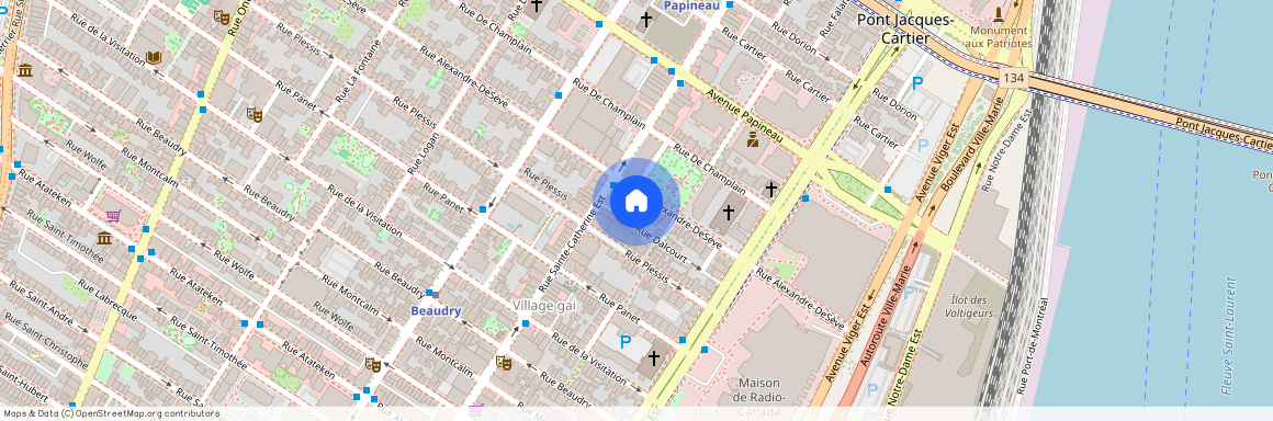1296 Rue Alexandre DeSève, Montréal (Ville-Marie), QC H2L2V1
