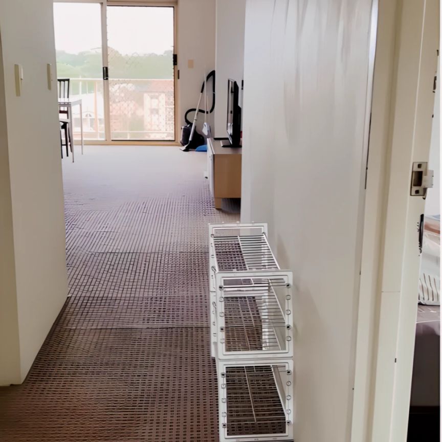 235 Anzac Pde Kensington, Sydney - Photo 1