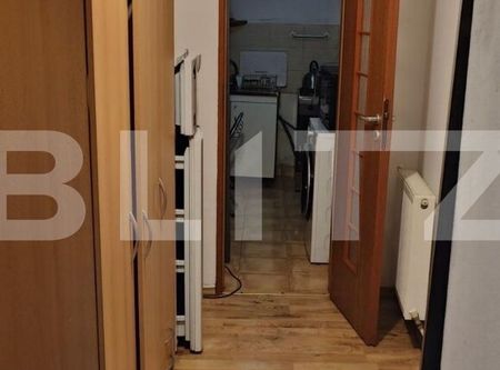 Apartament 1 camera la casa, curte, 35 mp, zona strazii Bistritei - Fotografie 2