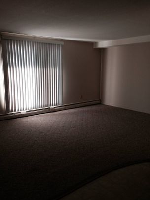 Blue Heron - Photo 1