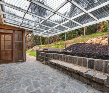 Boronia - Photo 4