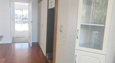 Renovated 3-Bedroom Independent Home with sunroom - Photo 4