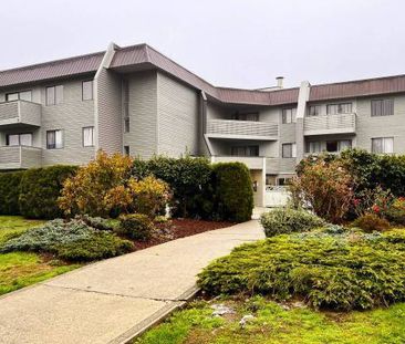 *MOVE IN BONUS* 2 bedroom 1 bathroom available now! Maple ridge - Photo 2