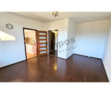 Pronájem bytu 1+1, Břidličná - Fotografie 6