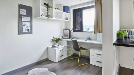 Classic Studio - Photo 5