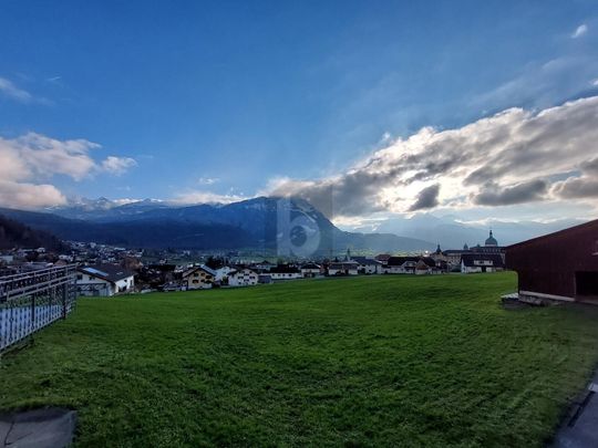 COZY WITH FANTASTIC MOUNTAIN VIEW - Photo 1