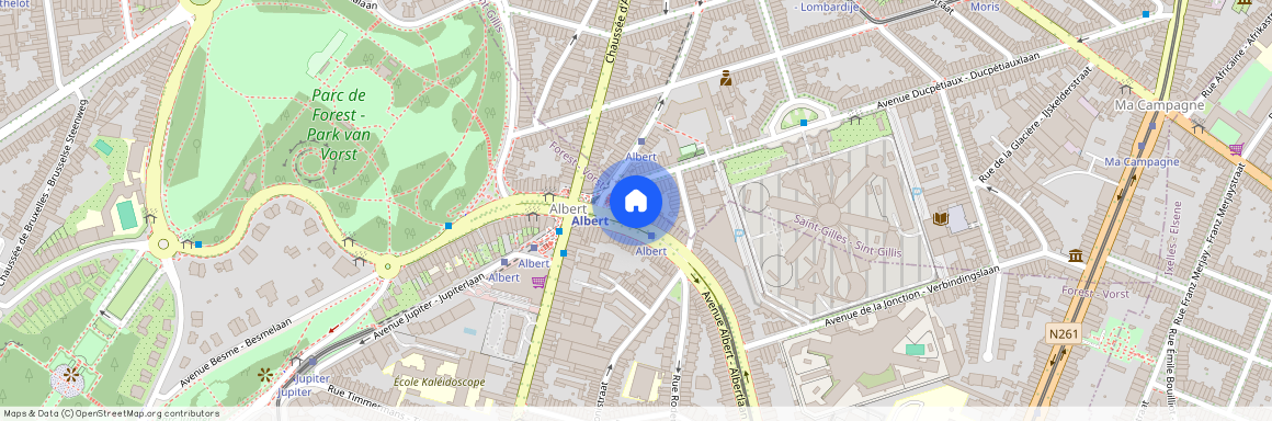 Avenue Albert, 12, 1190, Forest