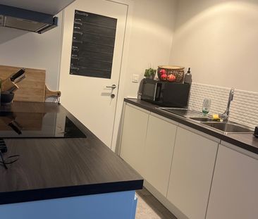 1 plekje vrij in 2 kamerappartement - Foto 2