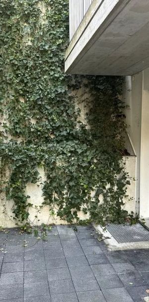 Beau studio avec terrasse - Photo 1