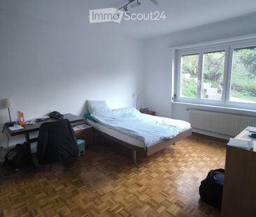 2.5 Zimmer - Photo 1