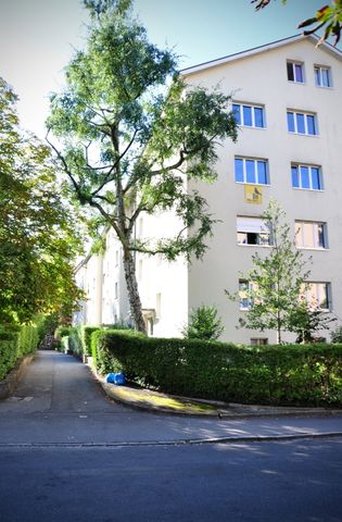 3 Zimmer, 65 m², 2. Stock - Photo 5