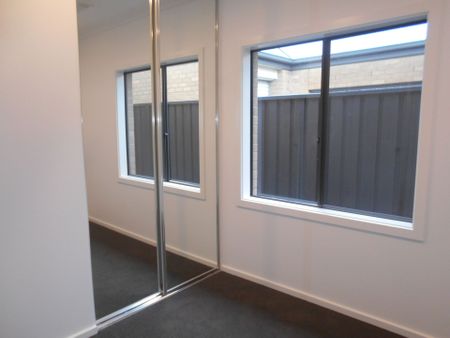 What a Beauty! - Photo 4