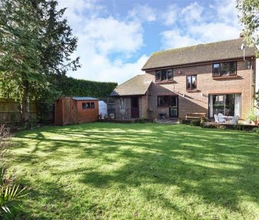 3 bedroom detached house to rent - Photo 6