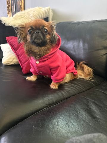 Vetterslundsgatan, Västerås - Foto 3