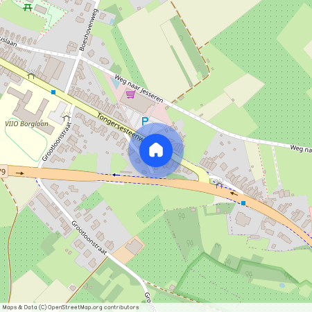 Tongersesteenweg 43 / 102, 3840 Borgloon