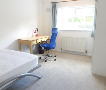 North Park Avenue, NORWICH - Photo 5