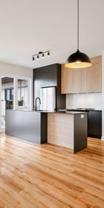 5 1/2 - Montréal (La Petite-Patrie) - $2 695 /mois - Photo 4