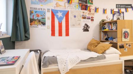 Residence for rent in Salamanca, Madrid, some bills included - Photo 3