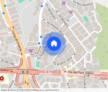 Via Girolamo Boccardo, Roma, Lazio 00191 - Foto 1