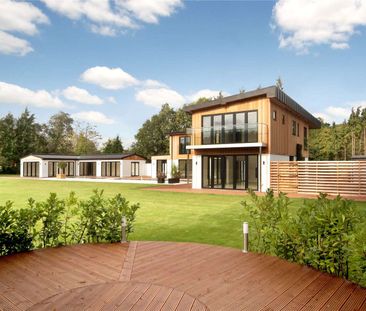 Exceptional contemporary home with substantial living space and stu... - Photo 4
