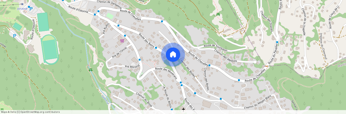 Chemin des Biolles 33, 1911 Ovronnaz