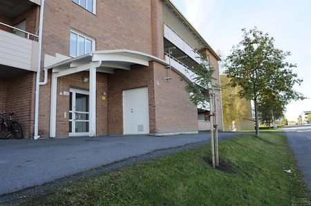 Ö Nygatan 81 - Foto 4