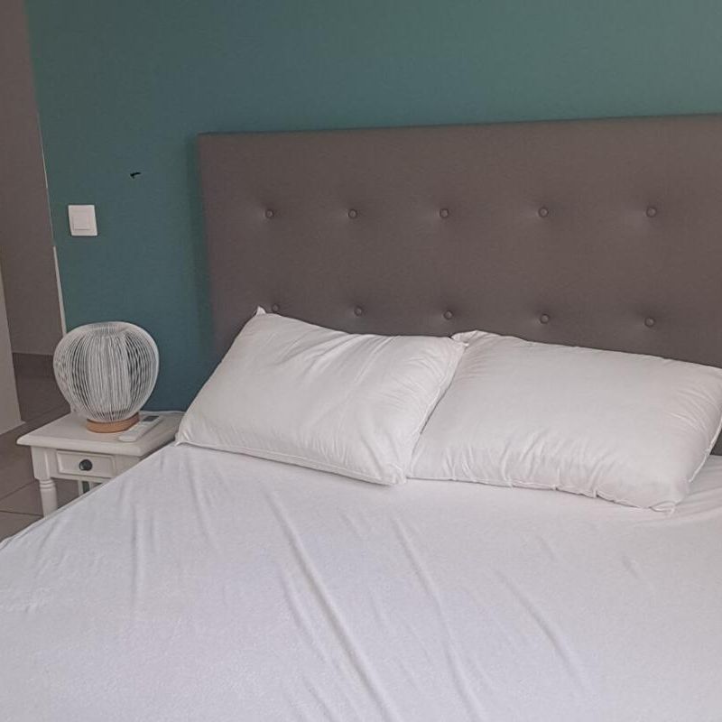 Location Appartement 2 pièces Meublé 48m² LE MOULE 97160 - Photo 1
