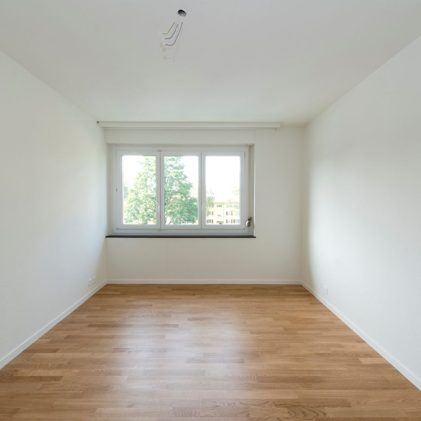 Moderne Wohnung mit grosszügigem Grundriss in Regensdorf - Photo 1