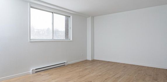 APPARTEMENT 3 & 1/2 DISPONIBLE IMMEDIATEMENT - Photo 2
