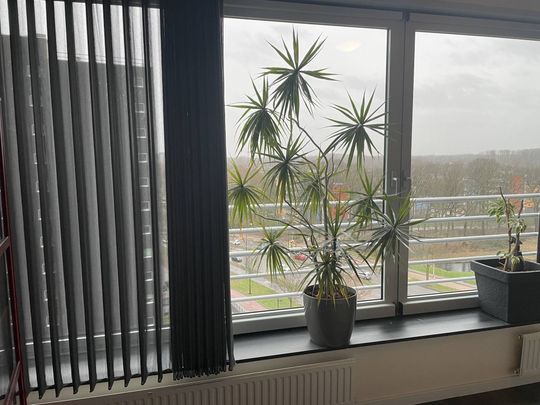 Te huur: Appartement Spijkerhofplein in Nijmegen - Photo 1