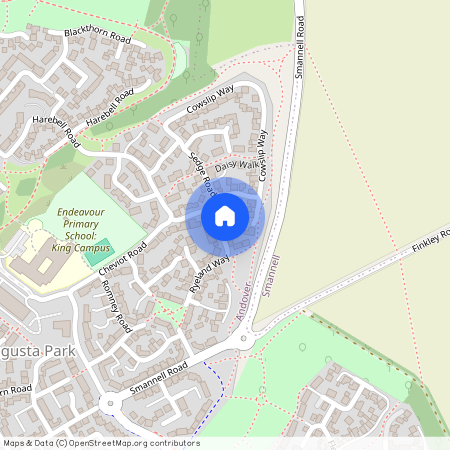 Ryeland Way, Augusta Park, Andover, SP11