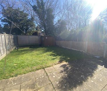 2 bedroom House To Let - Photo 4