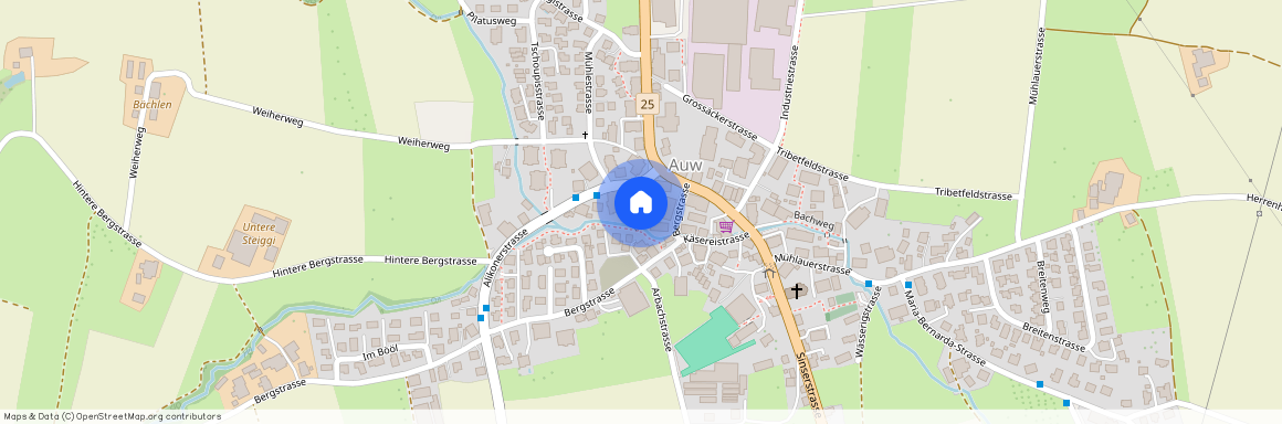 5644, Auw, Bergstrasse, 4b