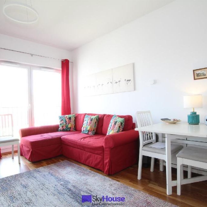 Mieszkanie Wrocław Śródmieście powierzchnia 26.0 m² C191-WM-25539 - Photo 1