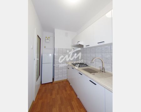 Szczecin - Zdjęcie 4