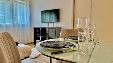 Location Appartement 1 pièce 25m² ST JULIEN EN GENEVOIS 74160 - Photo 3