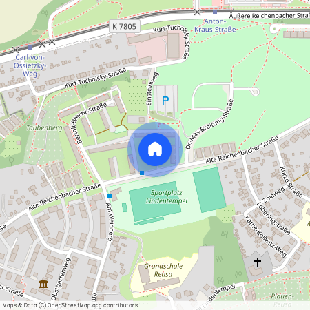 Alte Reichenbacher Straße 35, 08529 Sachsen - Plauen